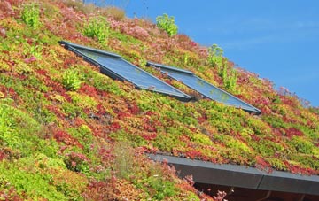 Ashfold Crossways living roof systems